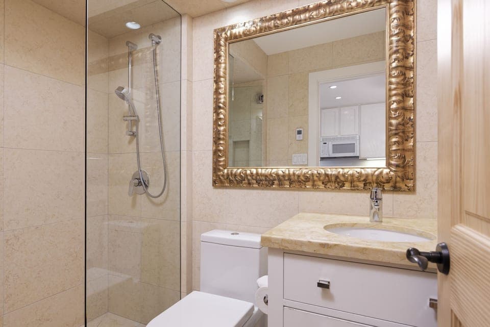 Downstairs guest bathroom