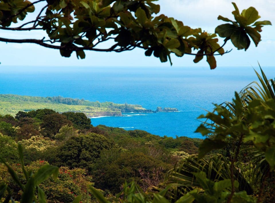 View to left from Cottage lanai