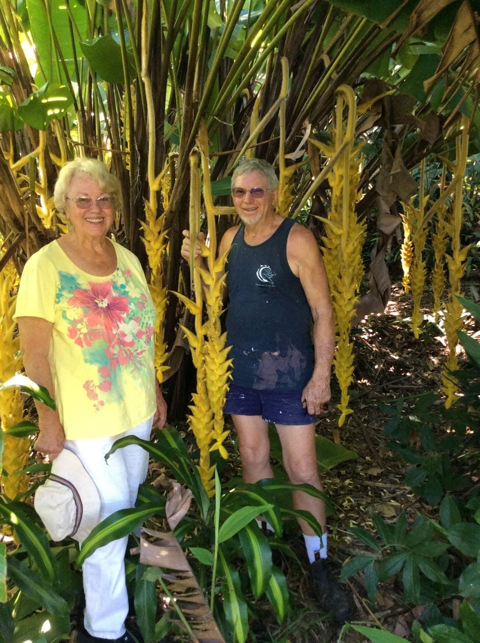 Terry & Michael Kristiansen
Heliconia 'Shogun'