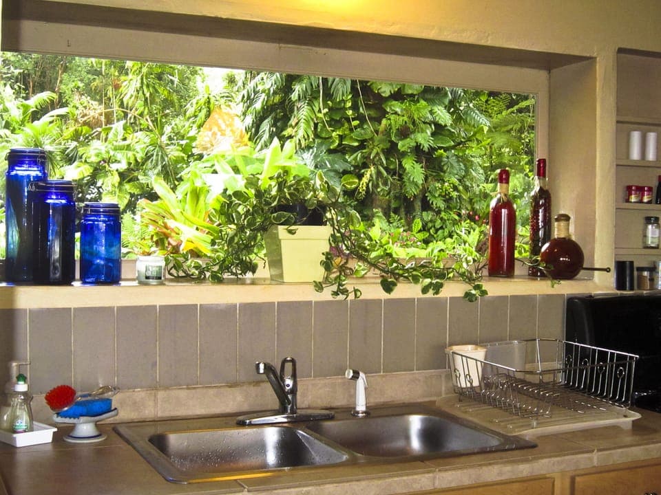 Kitchen view into garden