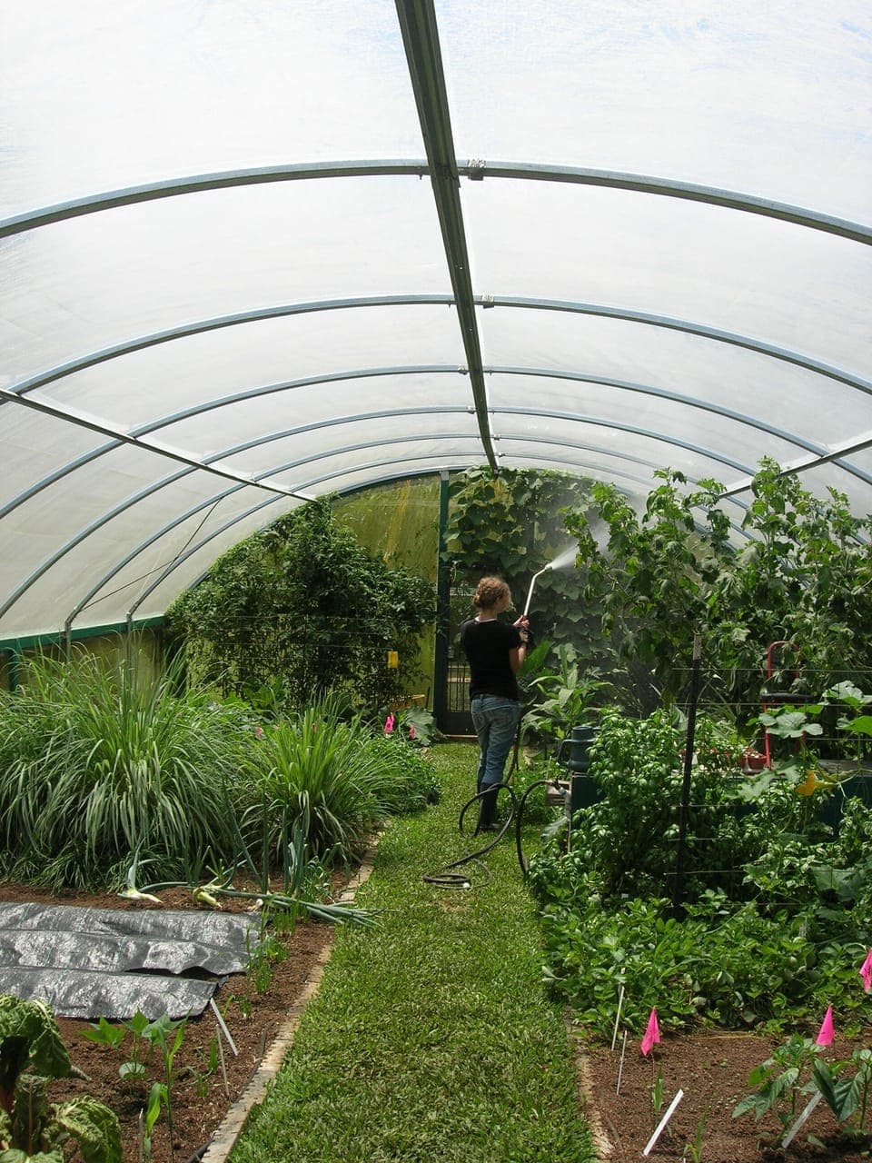 Fresh vegetables when available