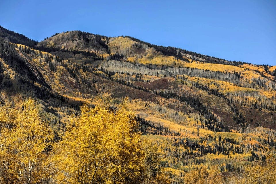 Surrounding Views | Close to Trails + Parks