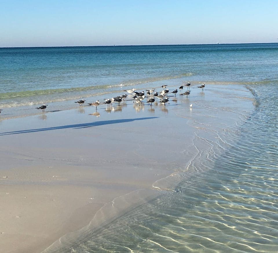 Beautiful beaches with sugar white sand 
Free shuttle to beach 
