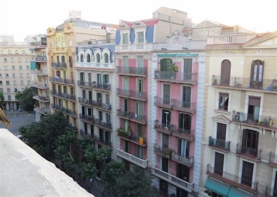 Views from the terrace