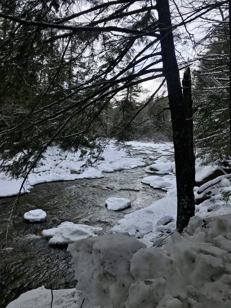 Our front yard .....