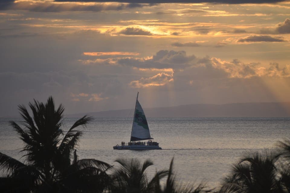 Zoomed-In picture from 505 sqft lanai 