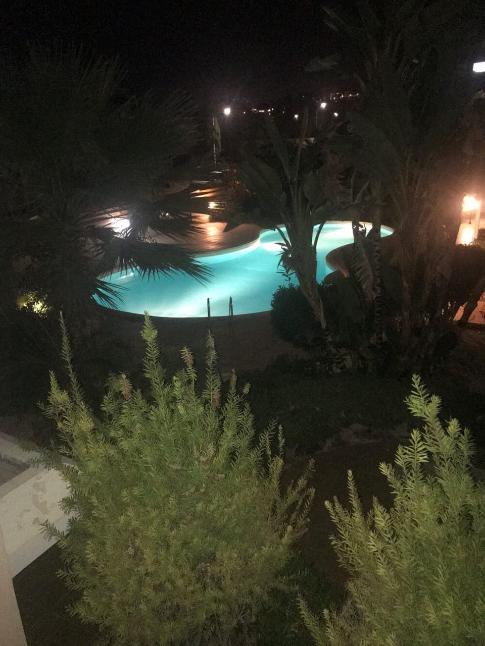The pool and gardens at night 