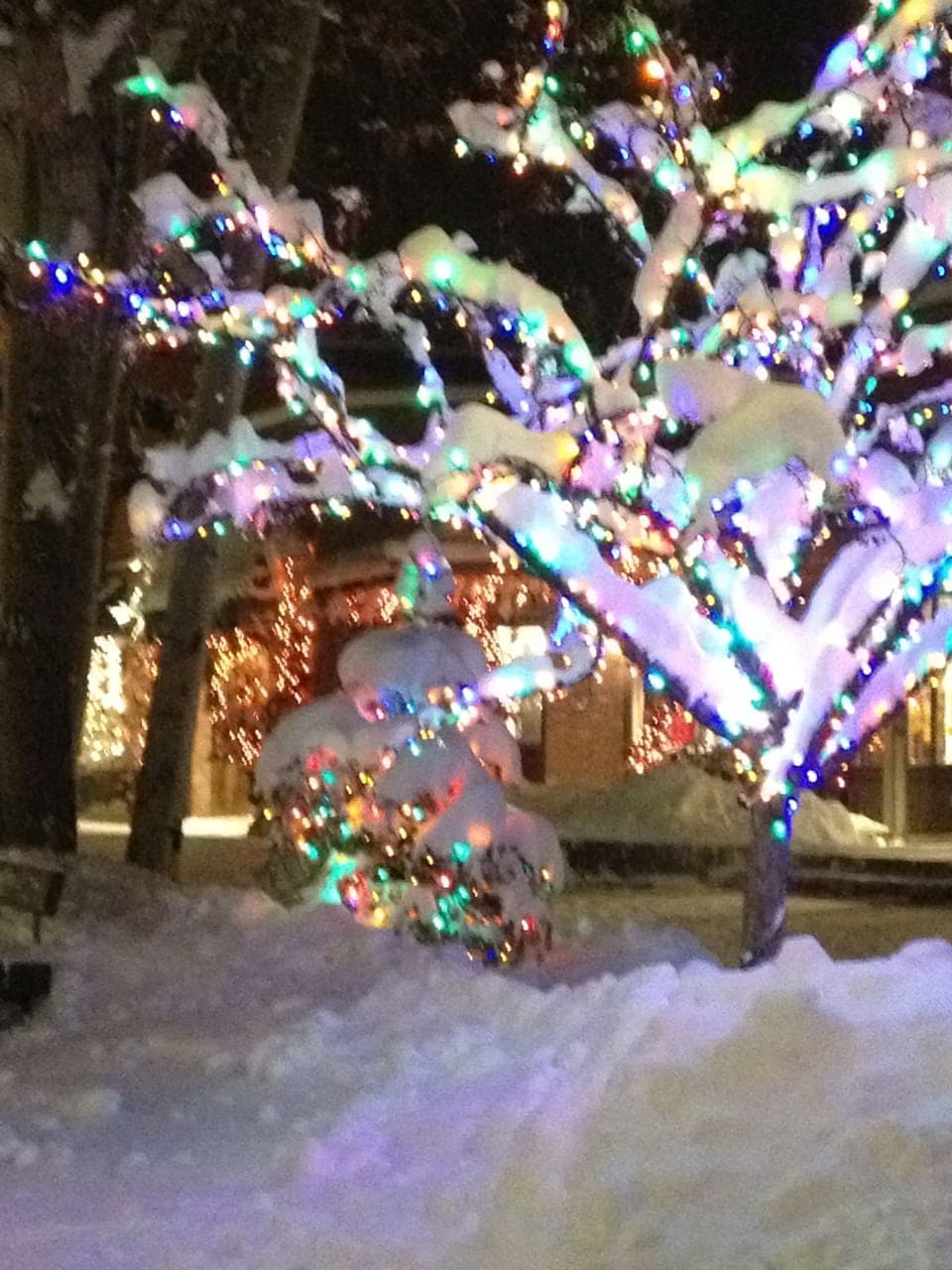 Aspen Downtown 