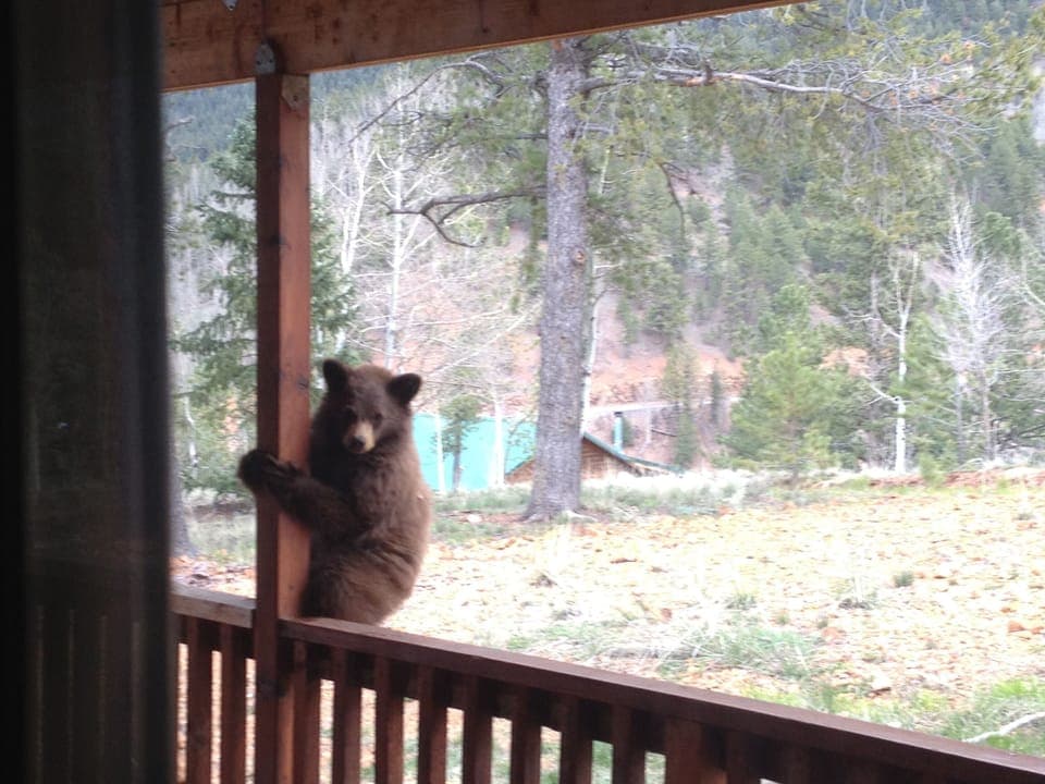 Wildlife up close!
