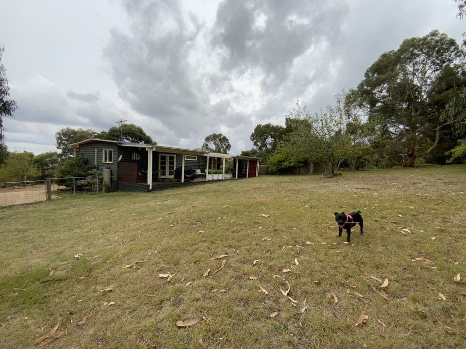 Large fenced backyard 