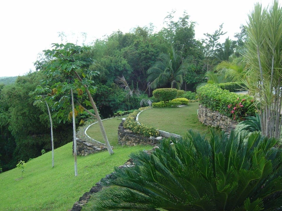 Terraces