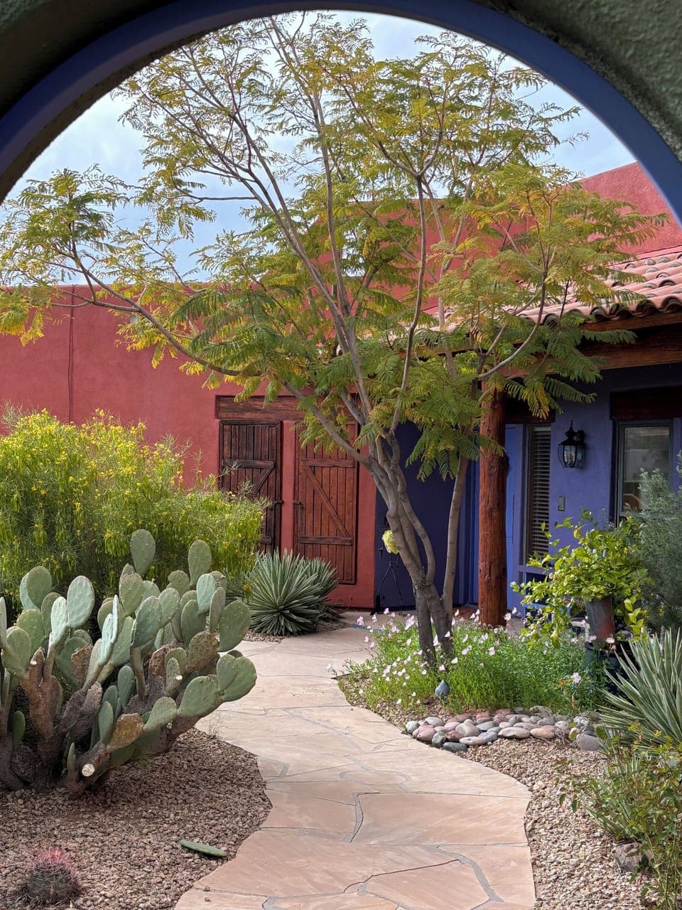 The front door, 2025